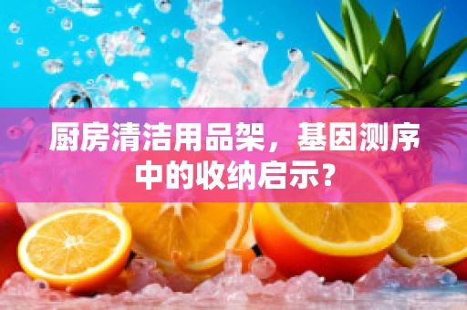 厨房清洁用品架，基因测序中的收纳启示？