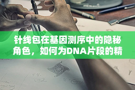 针线包在基因测序中的隐秘角色，如何为DNA片段的精准拼接提供缝合方案？