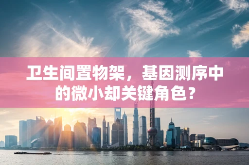 卫生间置物架，基因测序中的微小却关键角色？