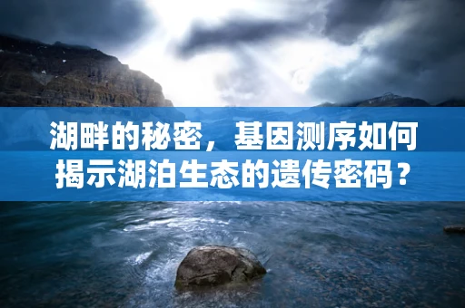 湖畔的秘密，基因测序如何揭示湖泊生态的遗传密码？