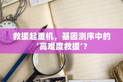救援起重机，基因测序中的‘高难度救援’？