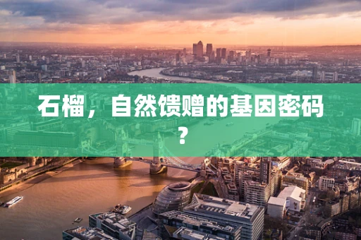 石榴，自然馈赠的基因密码？