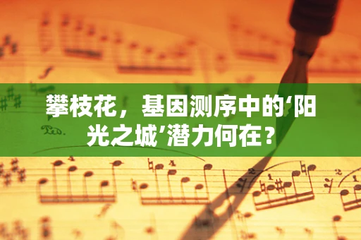 攀枝花，基因测序中的‘阳光之城’潜力何在？