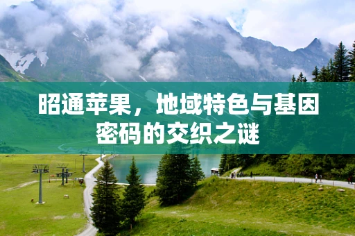 昭通苹果，地域特色与基因密码的交织之谜