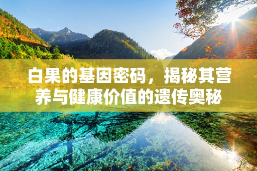 白果的基因密码，揭秘其营养与健康价值的遗传奥秘