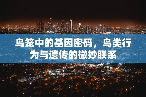 鸟笼中的基因密码，鸟类行为与遗传的微妙联系