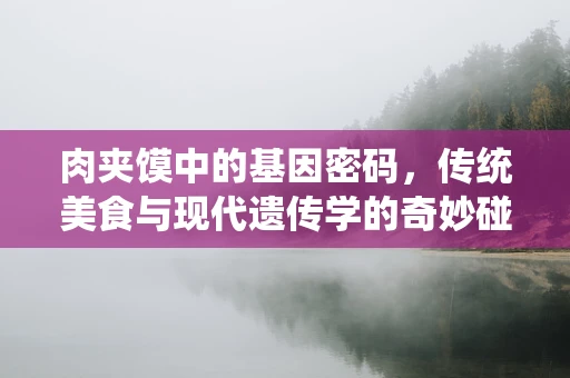 肉夹馍中的基因密码，传统美食与现代遗传学的奇妙碰撞