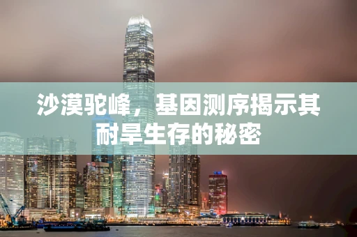 沙漠驼峰，基因测序揭示其耐旱生存的秘密