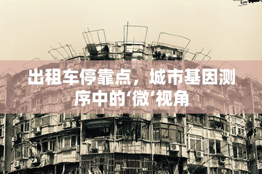 出租车停靠点，城市基因测序中的‘微’视角