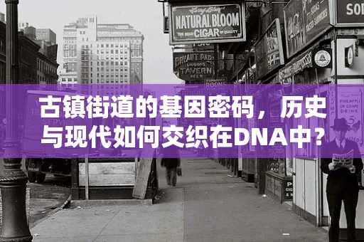 古镇街道的基因密码，历史与现代如何交织在DNA中？