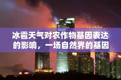 冰雹天气对农作物基因表达的影响，一场自然界的基因‘风暴’