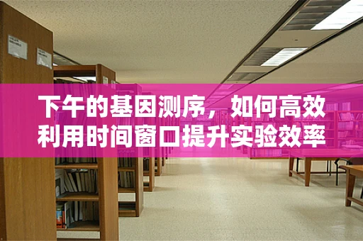 下午的基因测序，如何高效利用时间窗口提升实验效率？