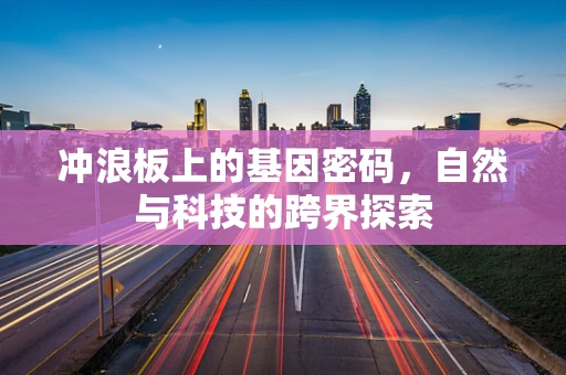 冲浪板上的基因密码，自然与科技的跨界探索