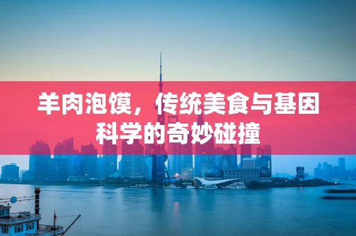 羊肉泡馍，传统美食与基因科学的奇妙碰撞