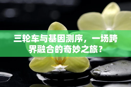 三轮车与基因测序，一场跨界融合的奇妙之旅？