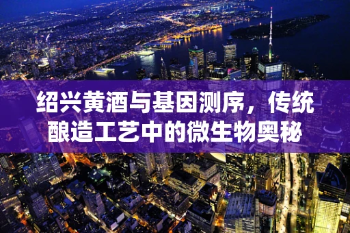 绍兴黄酒与基因测序，传统酿造工艺中的微生物奥秘