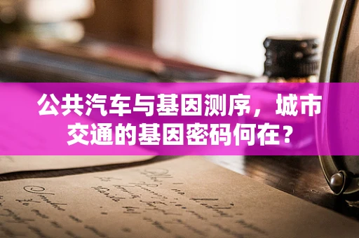 公共汽车与基因测序，城市交通的基因密码何在？