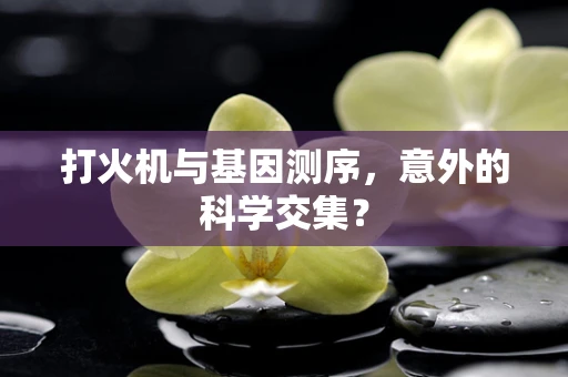打火机与基因测序，意外的科学交集？