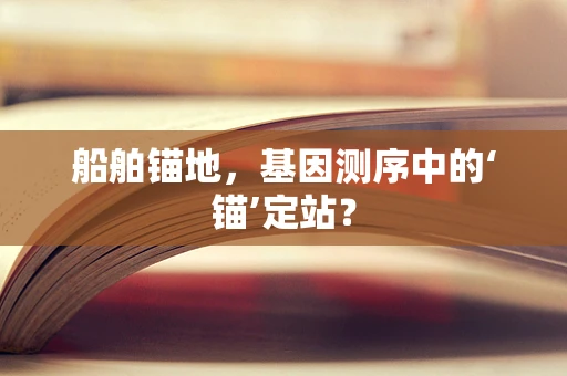 船舶锚地，基因测序中的‘锚’定站？
