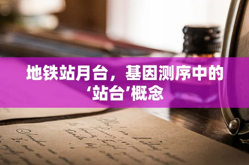 地铁站月台，基因测序中的‘站台’概念