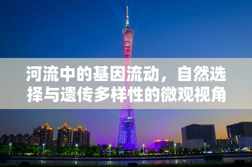 河流中的基因流动，自然选择与遗传多样性的微观视角
