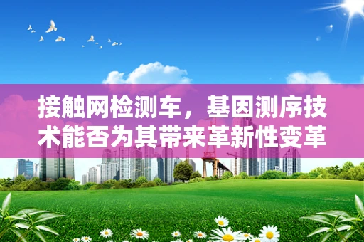 接触网检测车，基因测序技术能否为其带来革新性变革？