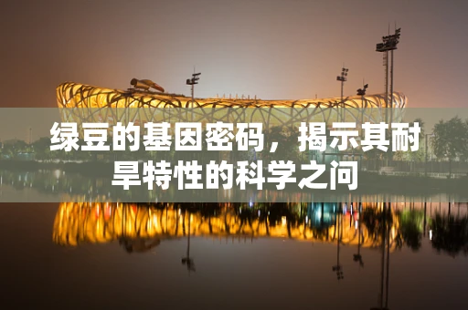 绿豆的基因密码，揭示其耐旱特性的科学之问