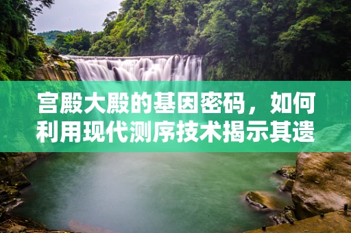 宫殿大殿的基因密码，如何利用现代测序技术揭示其遗传奥秘？