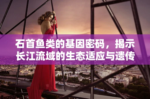 石首鱼类的基因密码，揭示长江流域的生态适应与遗传多样性