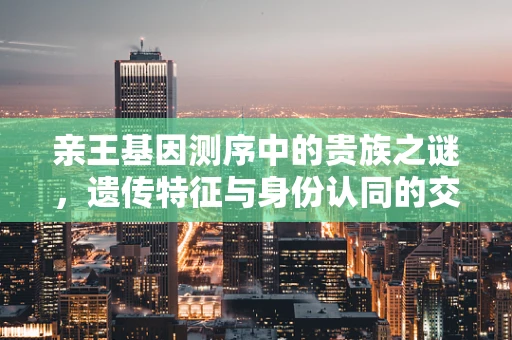 亲王基因测序中的贵族之谜，遗传特征与身份认同的交织