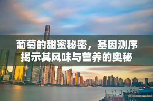 葡萄的甜蜜秘密，基因测序揭示其风味与营养的奥秘
