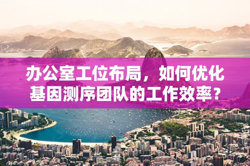 办公室工位布局，如何优化基因测序团队的工作效率？