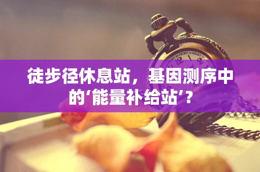 徒步径休息站，基因测序中的‘能量补给站’？