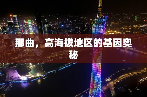那曲，高海拔地区的基因奥秘