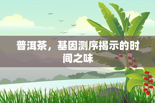 普洱茶，基因测序揭示的时间之味