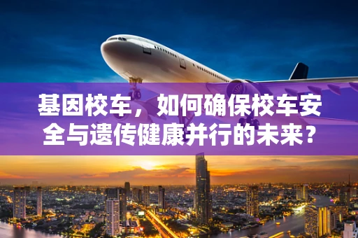 基因校车，如何确保校车安全与遗传健康并行的未来？