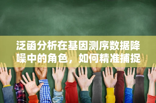 泛函分析在基因测序数据降噪中的角色，如何精准捕捉信号？