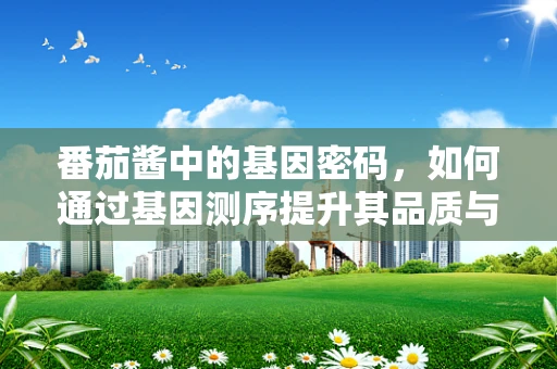 番茄酱中的基因密码，如何通过基因测序提升其品质与安全性？