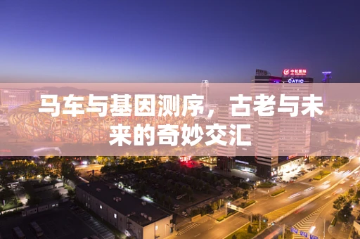 马车与基因测序，古老与未来的奇妙交汇