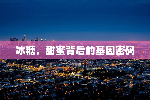 冰糖，甜蜜背后的基因密码