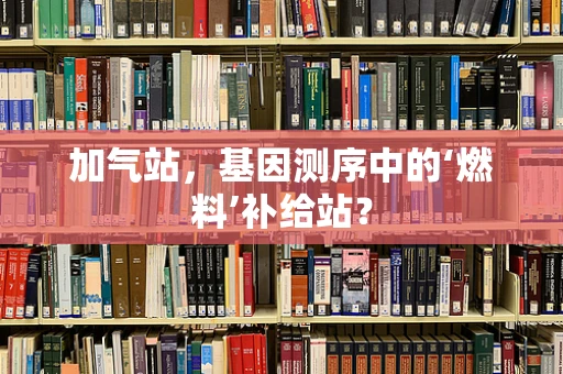 加气站，基因测序中的‘燃料’补给站？