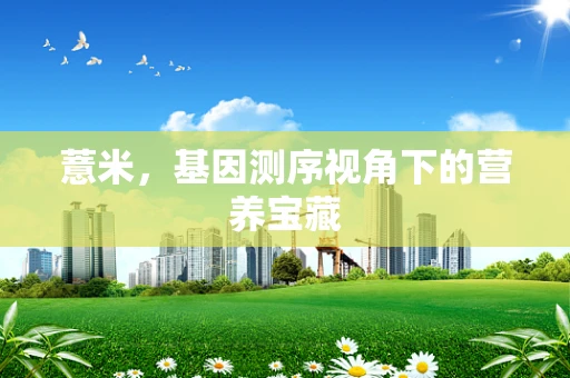 薏米，基因测序视角下的营养宝藏