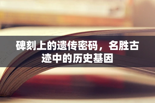碑刻上的遗传密码，名胜古迹中的历史基因