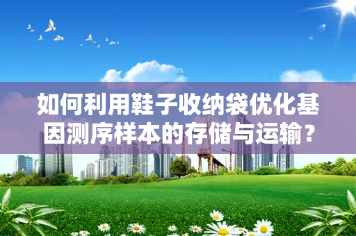 如何利用鞋子收纳袋优化基因测序样本的存储与运输？