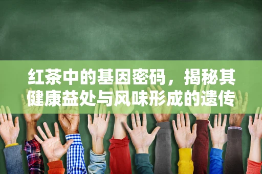 红茶中的基因密码，揭秘其健康益处与风味形成的遗传学基础