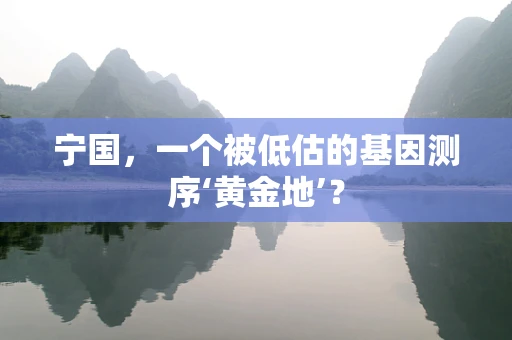 宁国，一个被低估的基因测序‘黄金地’？