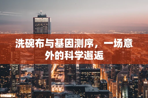 洗碗布与基因测序，一场意外的科学邂逅
