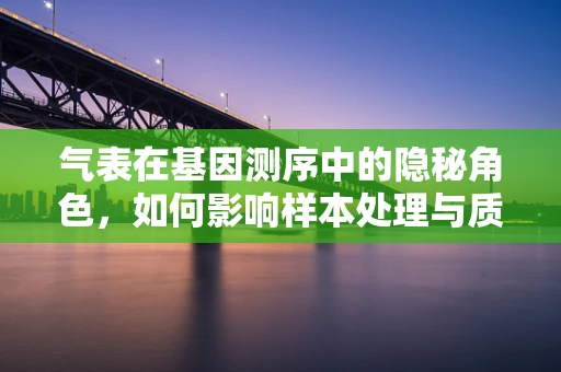 气表在基因测序中的隐秘角色，如何影响样本处理与质量控制？