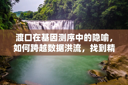 渡口在基因测序中的隐喻，如何跨越数据洪流，找到精准医疗的彼岸？