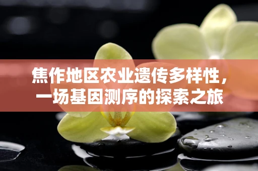 焦作地区农业遗传多样性，一场基因测序的探索之旅